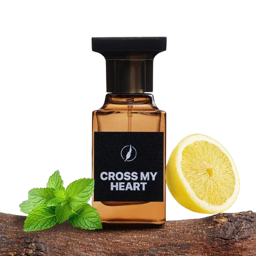 cross my heart man perfume price in pakistan removebg preview